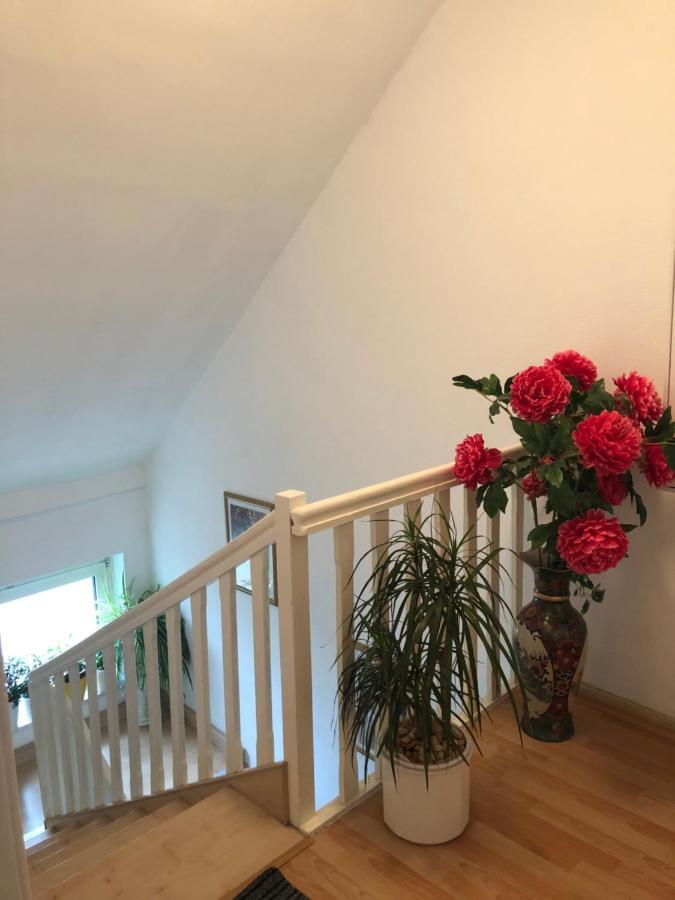 2 Privatzimmer , Dusche /Wc Nahe Koeln فريشن المظهر الخارجي الصورة